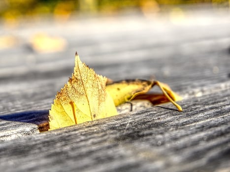 Gap analysis Gap analysis